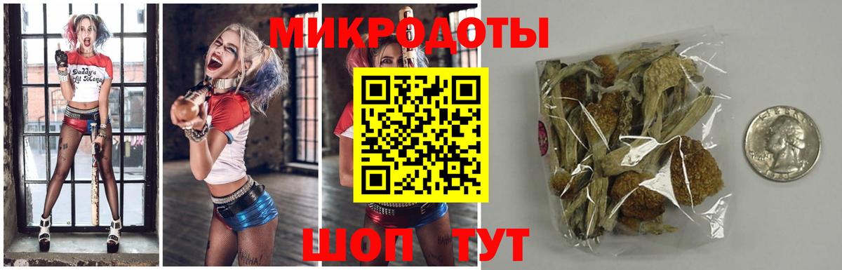 Галлюциногенные грибы Psilocybine cubensis Россошь